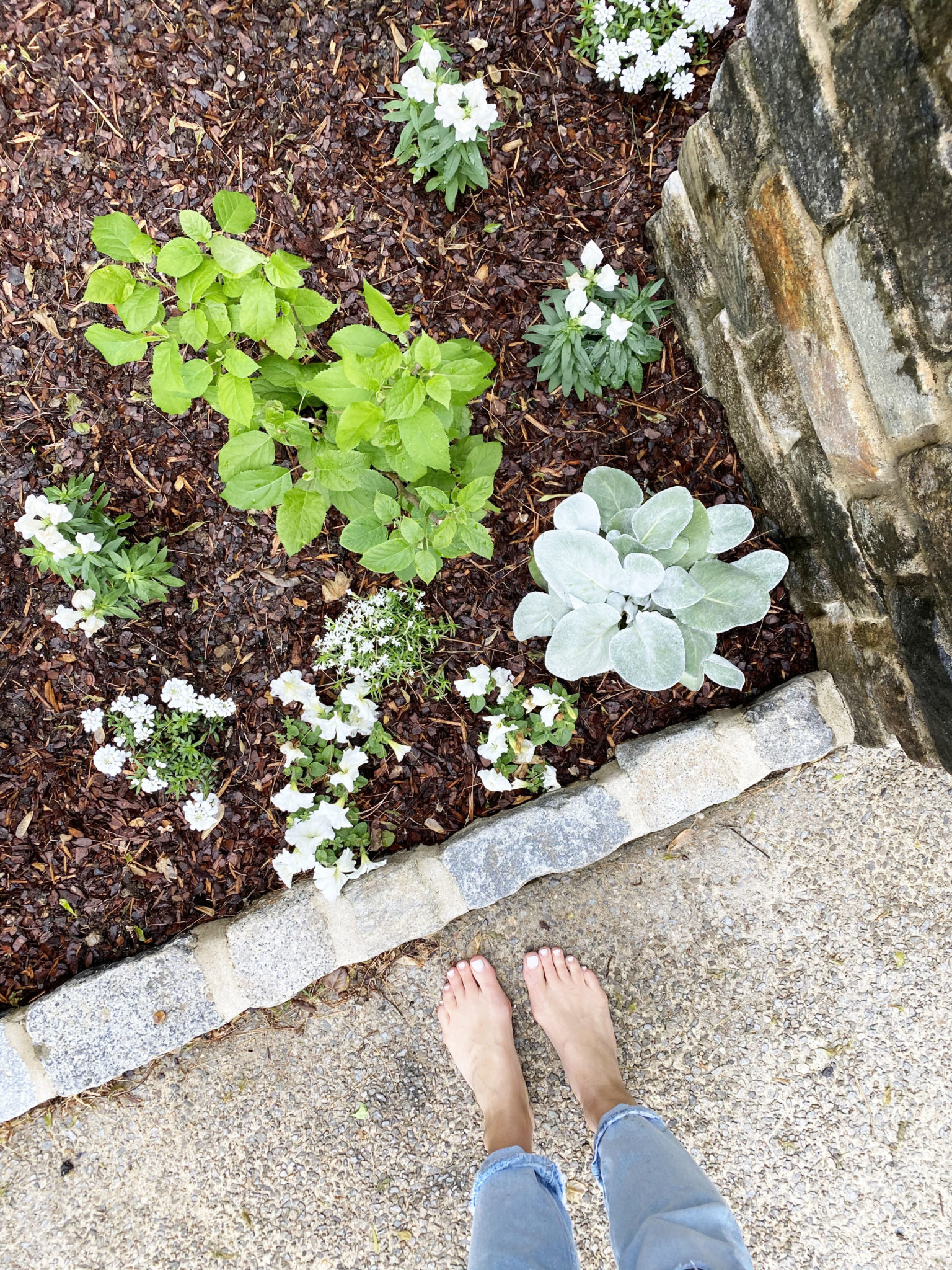 Planting Flowers Living With Landyn